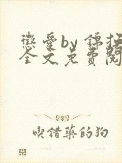惩爱by 锦换全文免费阅读笔趣阁 惩爱by 锦换全文免费阅读笔趣阁