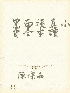 黑白逐真小说免费全本读
