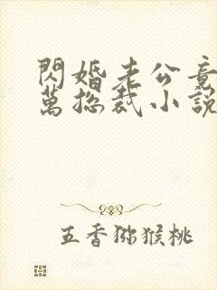 闪婚老公竟是亿万总裁小说