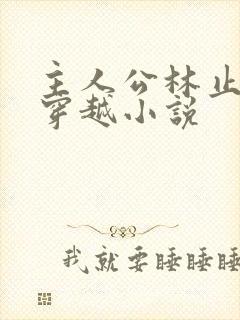 主人公林止陌的穿越小说