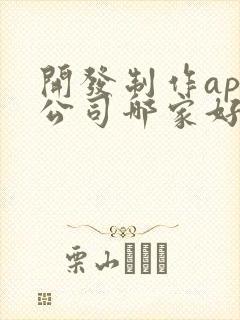 开发制作app公司哪家好