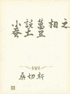 小说万相之王天蚕土豆