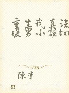 重生我真没想当暖男小说txt