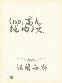 (np,高h,纯肉)文