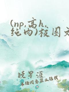 (np,高h,纯肉)校园文