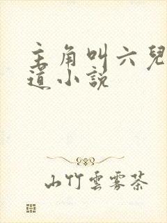 主角叫六儿的黑道小说
