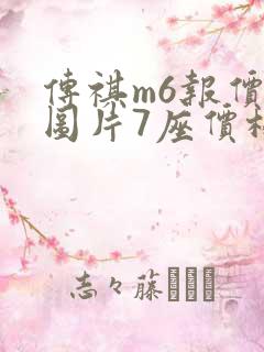 传祺m6报价及图片7座价格