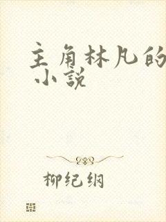 主角林凡的小说 小说