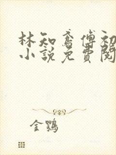 林知鸢傅初霁的小说免费阅读全文