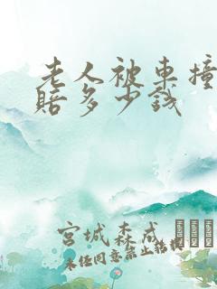 老人被车撞死能赔多少钱