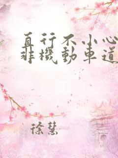 直行不小心驶入非机动车道