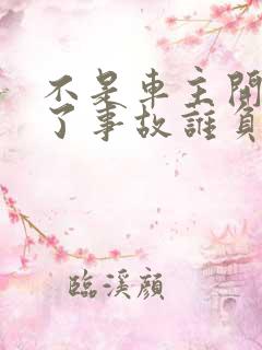 不是车主开车出了事故谁负责