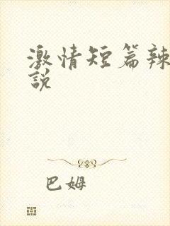 激情短篇辣文小说