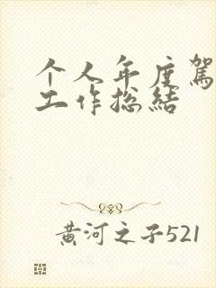 个人年度驾驶员工作总结