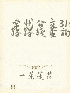 常州公交315路路线查询