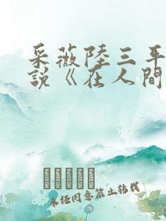 采薇陆三平的小说《在人间》