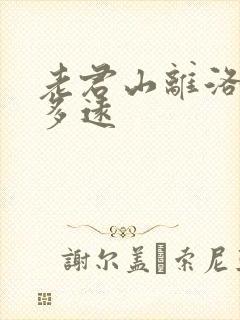 老君山离洛阳站多远
