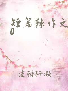 短篇辣作文500
