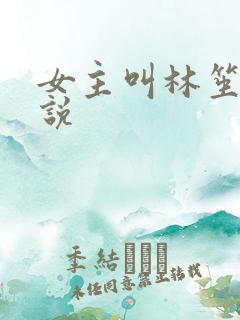 女主叫林笙的小说