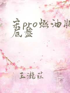 宋pro燃油版底盘