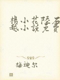 杨小花陆石生穿越小说免费阅读无弹窗