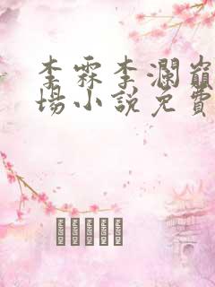 李霖李澜巅峰官场小说免费阅读