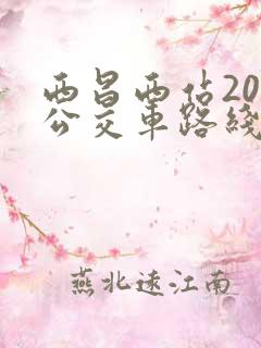 西昌西站20路公交车路线图