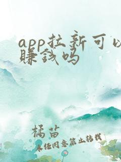 app拉新可以赚钱吗