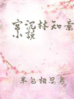 宫沉林知意正版小说