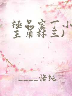 极品家丁小说(主角林三)