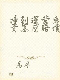 撞到运营车辆全责怎么赔偿