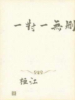 一对一无删减版