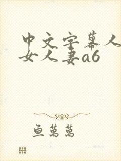中文字幕人妻熟女人妻a6