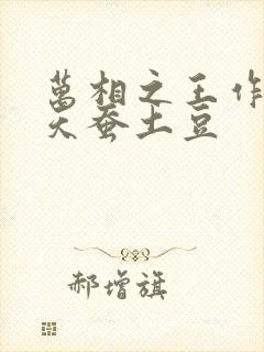 万相之王作者:天蚕土豆
