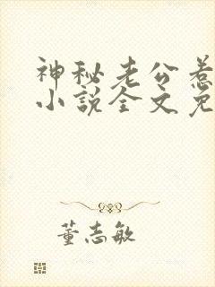 神秘老公惹不起小说全文免费阅读