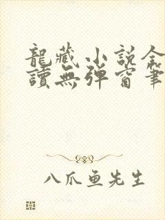 龙藏小说全文阅读无弹窗笔趣阁免费