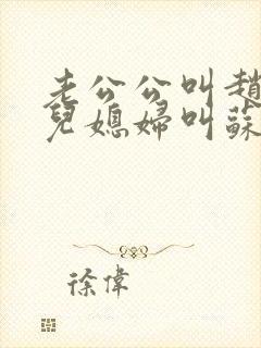 老公公叫赵大宝儿媳妇叫苏媚的小说