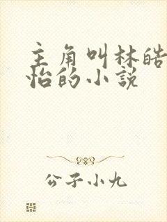 主角叫林皓李静怡的小说
