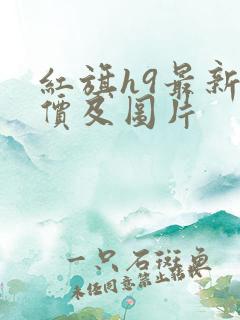 红旗h9最新报价及图片