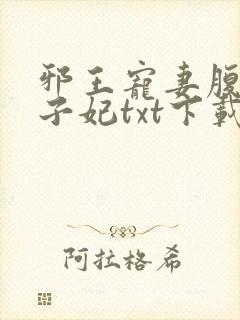 邪王宠妻腹黑世子妃txt下载