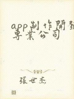 app制作开发专业公司