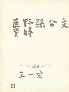 巨野县公交查询实时