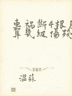 车祸断4根肋骨算几级伤残