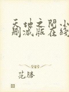 天地之间小说无删减版在线阅读