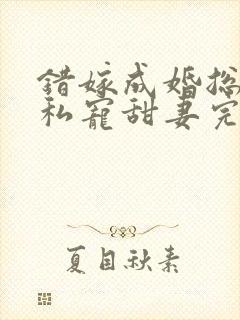 错嫁成婚总裁的私宠甜妻完整版