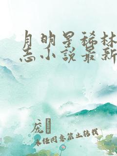 月明星稀林姨小志小说最新章节列表
