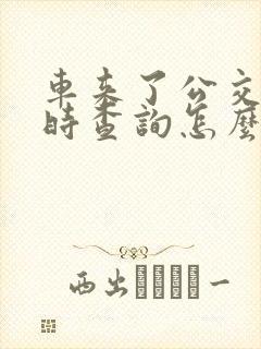 车来了公交车实时查询怎么看