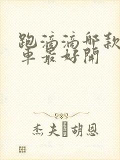 跑滴滴哪款纯电车最好开