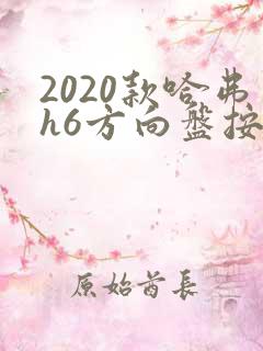 2020款哈弗h6方向盘按键功能介绍