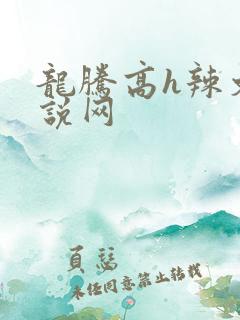 龙腾高h辣文小说网